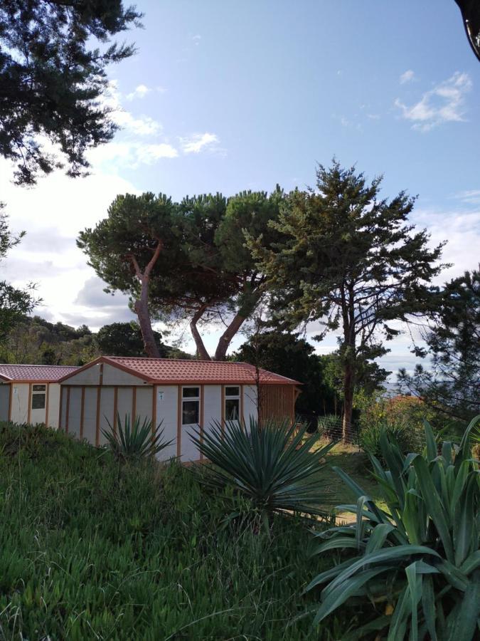 Camping Tikiti بروبرِيانّو المظهر الخارجي الصورة